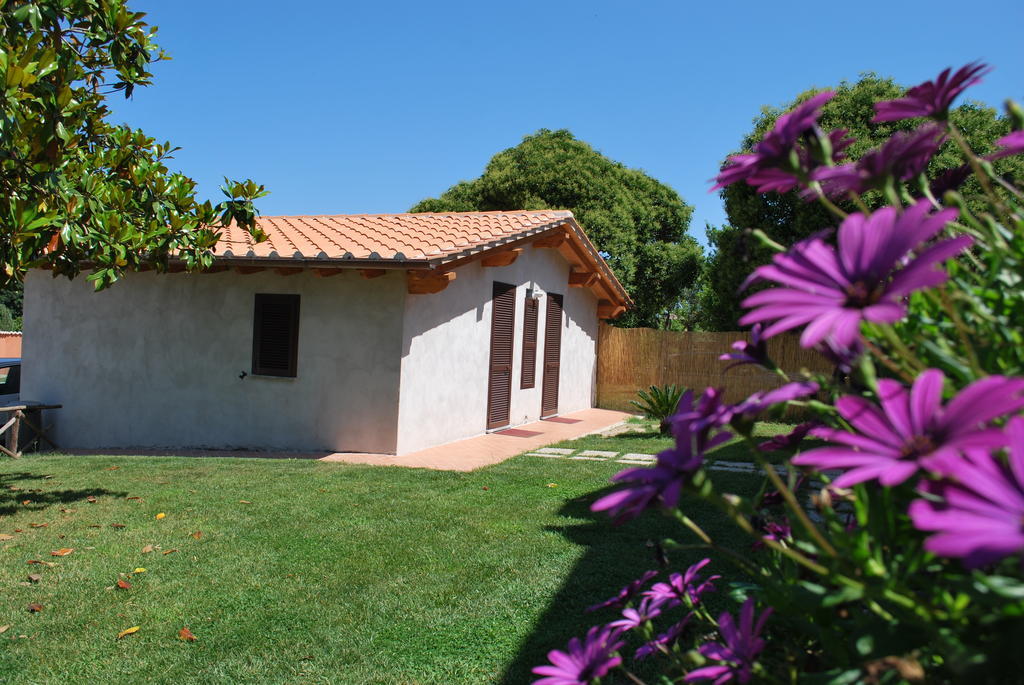 Agriturismo La Valle Di Ceri チェルヴェーテリ エクステリア 写真