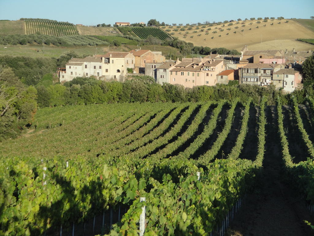 Agriturismo La Valle Di Ceri チェルヴェーテリ エクステリア 写真